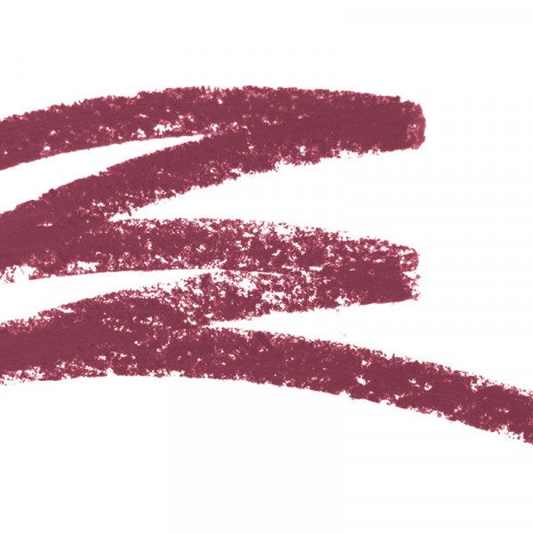 PERFECTPOUT GEL LIP LINER