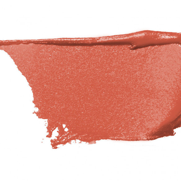 MEGA LAST LIP COLOR