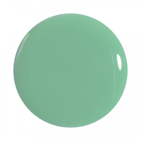 FAST DRY AF NAIL COLOR