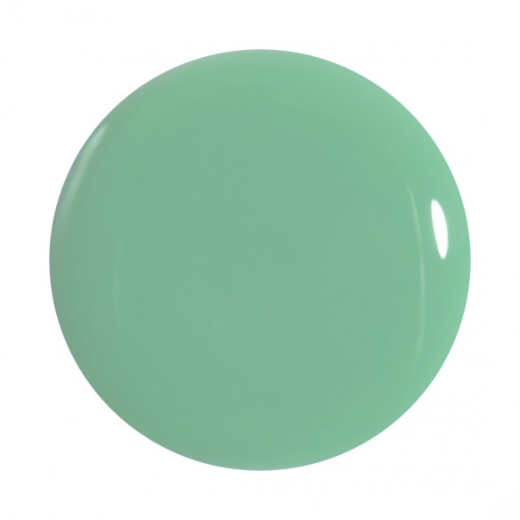 FAST DRY AF NAIL COLOR