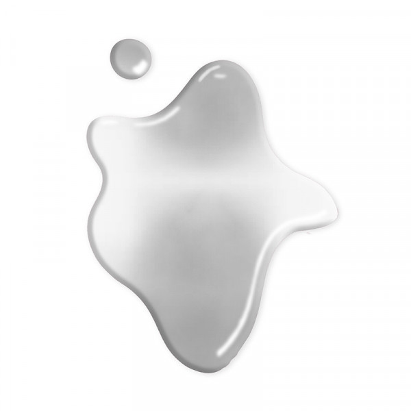 WILDSHINE NAIL COLOR