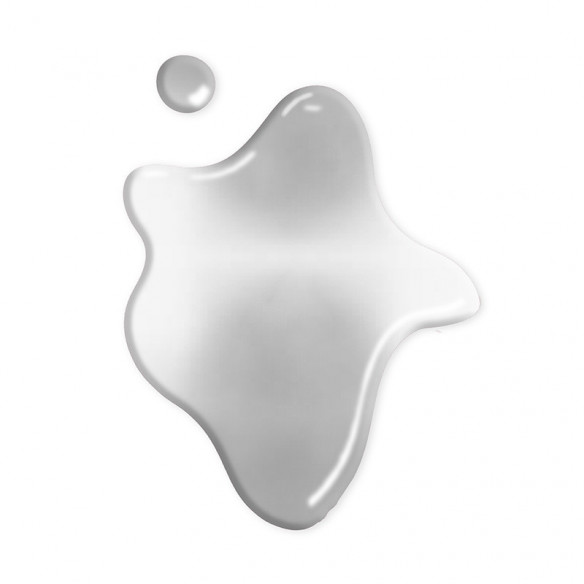 WILDSHINE NAIL COLOR