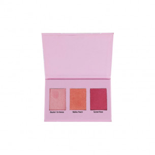 PALETTE DE TROIS FARD A JOUE  COLORICON BLUSH PALETTE 2