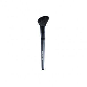 PINCEAU BLUSH BISEAUTE